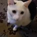Eric Oyola - Facebook