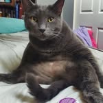 Eric Pack - @ericpack60 - Instagram