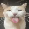 EricPacker - @ericpacker_p - TikTok