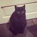 Winston Eric Charles Packwood I - Facebook