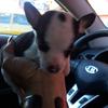 Eric Pagan477 - @ericpagan477 - TikTok