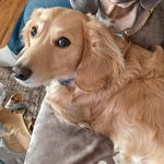 Eric Pagano - @torilove658 - Instagram