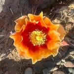 Eric Page - @errrpage - Instagram