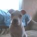 Eric Pagel - Facebook