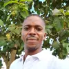 Eric Pah - @ericpah981 - TikTok