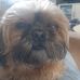 Eric Pahlke - Facebook
