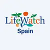 lifewatchericspai - @lifewatchericspai - TikTok