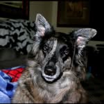Eric Painter - @donkeykiller1998 - Instagram