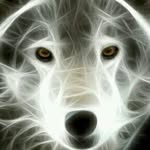 eric.painter - @eric.painter9564 - Instagram