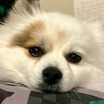 Eric Pankey - @omegaendbolt - Instagram