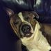 Eric Parks - Facebook