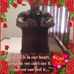 Eric Parnell - @ericparnell5727 - Instagram