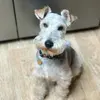 ericparrott7 - @ericparrott7 - TikTok