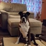Eric Passmore - @ericpassmore1 - Instagram