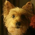 Eric Patricio Lagos Moreno - @lagosmoreno - Instagram