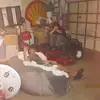 pauliericci8 - @pauliericci8 - TikTok
