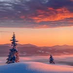 Eric Pauwels - @ejpauwels - Instagram