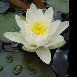 洝心堂 - @eric.peaceful - Instagram