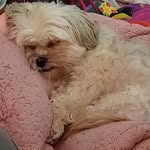 Eric Christa Perkins Pearcy - @ericchristapearcy - Instagram