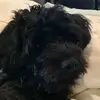 ericpedersen24 - @ericpedersen24 - TikTok