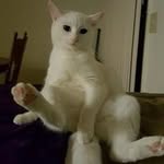 Eric Pedrick - @pedrickeric - Instagram