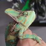 Eric Pedrick - @crazyrandomshadow - Instagram
