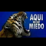 Eric Peguero - @eric.peguero - Instagram