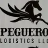 Erick Peguero - @erick.peguero4 - TikTok