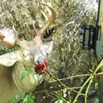 Eric Pennock - @2strokejager - Instagram