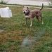 Eric Peoples - Facebook