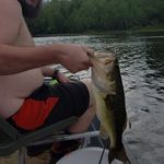 Eric Peoples - @stein00420 - Instagram