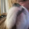 Ericapercival - @ericapercival - TikTok