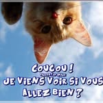 Eric Perrot - @7226.eric - Instagram