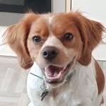 Eric Perrot - @perrot1790 - Instagram