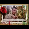 ericphillippi_private - @ericphillippi_pri - TikTok