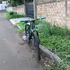 Erick piazza - @erickpiazza1 - TikTok
