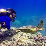 Steven Pickering - @stevenericpickering - Instagram