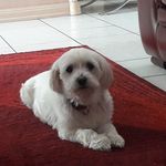 Eric Pillard - @eric.pillard.1 - Instagram