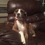 Eric Pipkin - Facebook