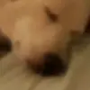 ericpippenger0 - @ericpippenger0 - TikTok