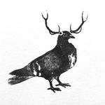 Eric Curry-Pitcher - @low_quality_jams - Instagram