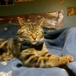 Eric Pitcher - @_ewwwik_da_goat_ - Instagram