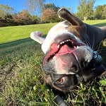 Eric Plaster - @ericplaster - Instagram