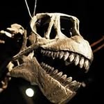 Eric Plessis - @ericplessis - Instagram