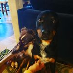 Eric Plourde - @ewplourde - Instagram