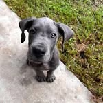 Eric Poche - @munchkin7177 - Instagram