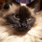 Éric Pochet Karine Pontseel - @ericpochetpontseel - Instagram