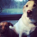 Eric poore - @eric764836 - Instagram