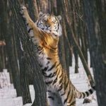 Eric Pope - @1dappercat_ - Instagram