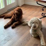Eric Posner - @ericposner - Instagram
